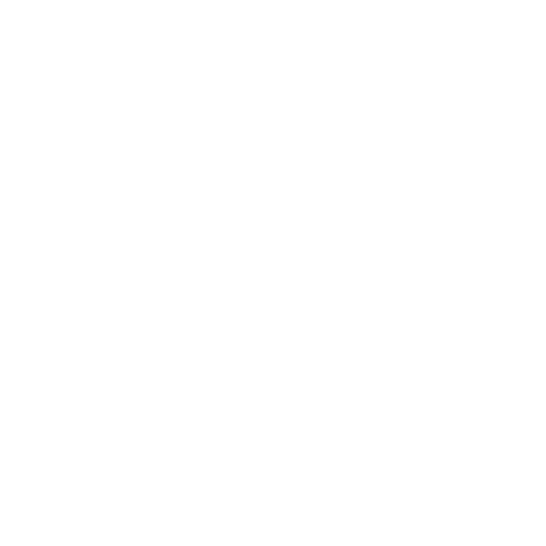 DarkLightSpace Logo